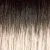 52/38/49/R8-3 Tone Grey Rooted Medium Brown